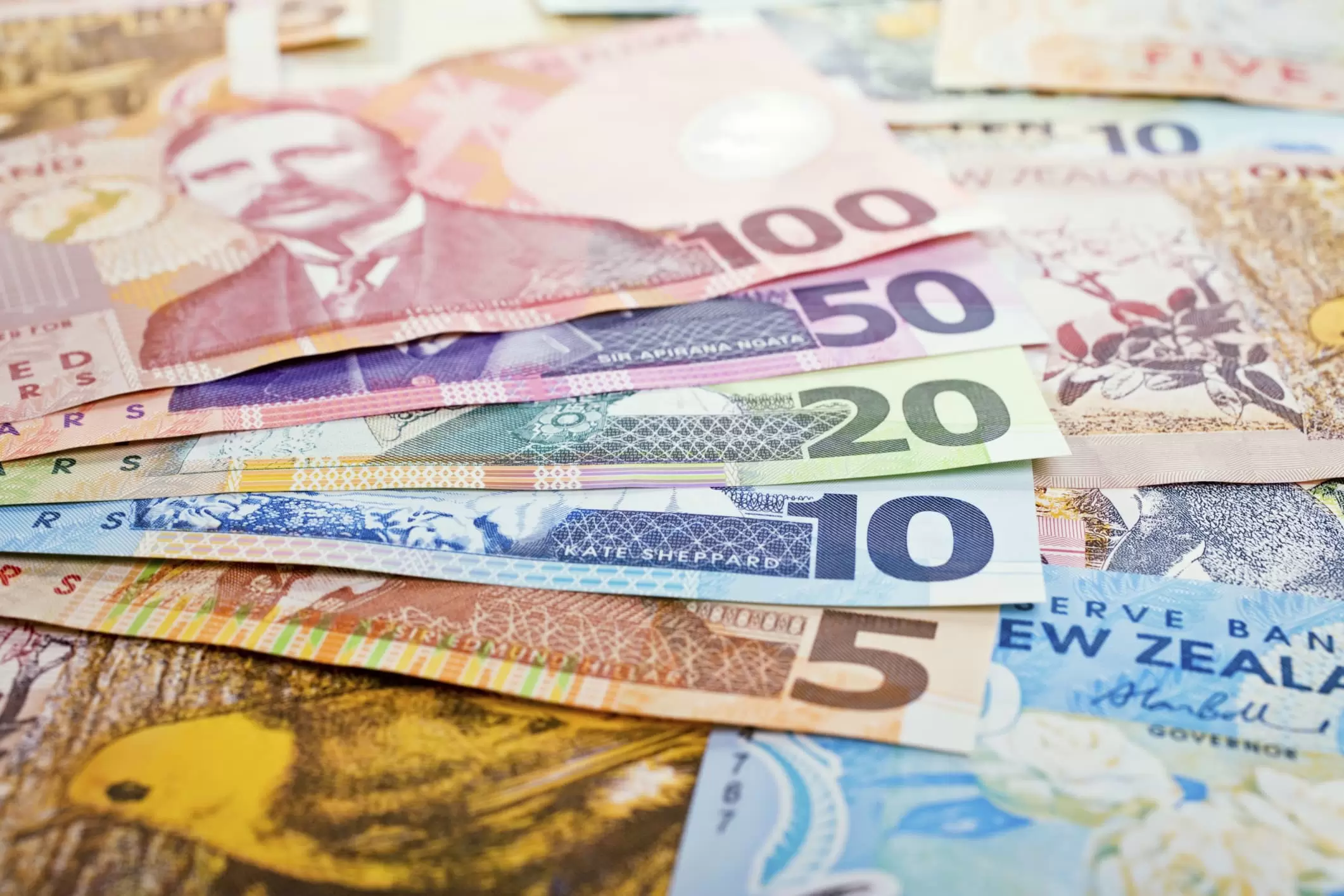New Zealand Counterfeit Bills
