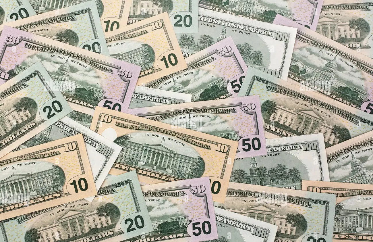 Fake USD Dollar Bills